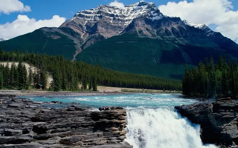 稳定性创新科技
